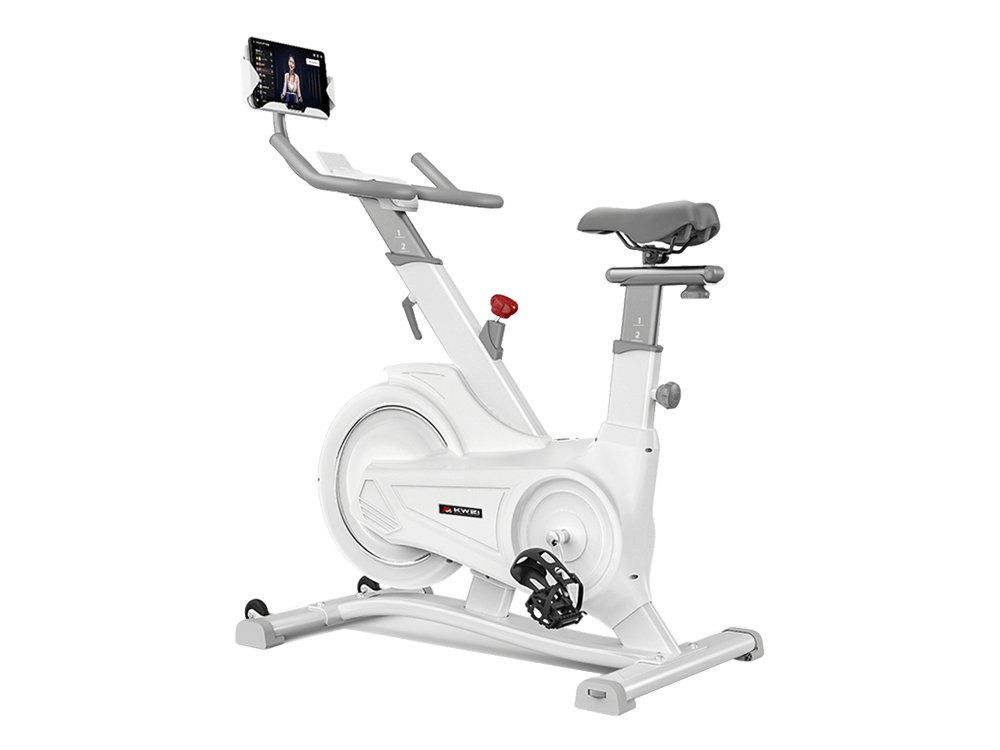 KWEI-EAGLE811 Spinning Bike KW811-01-B