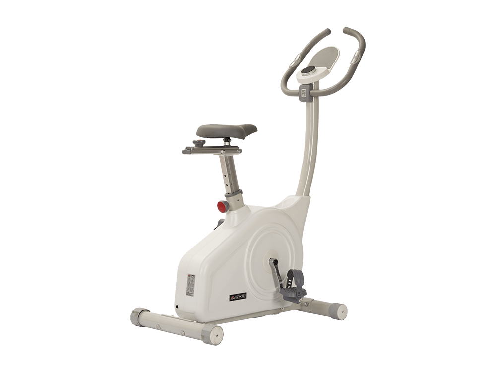 KWEI-SWAN727 Indoor Cycling Magnetic Resistance Adjustable Seat Upright Exercise Bike kw727-01-B